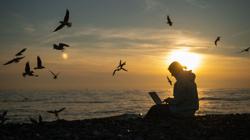 Seagulls flying over beach against sky during sunset