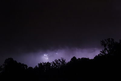 Low angle view of silhouette trees against sky at night