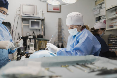 Veterinarians in uniform operating animal at table in surgery