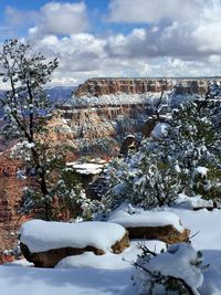 Snow covered rocks and trees against sky