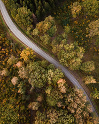 Aerial view of road amidst trees in forest