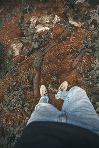 Low section of man standing on land