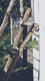 Close-up of built structure