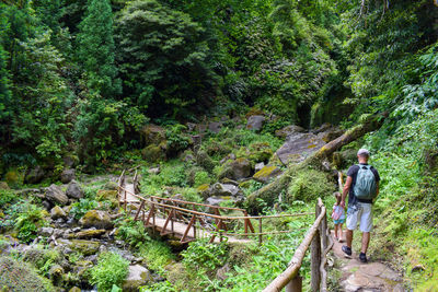 Rear view of man walking on footbridge in forest