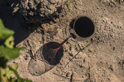 High angle view of hole on field