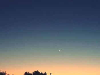 Low angle view of silhouette trees against clear sky at sunset