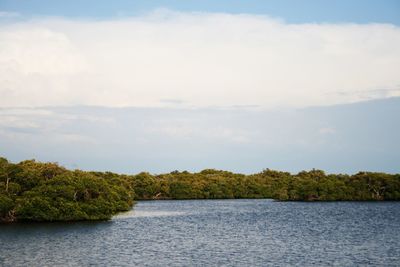 Scenic view of lake and trees against sky