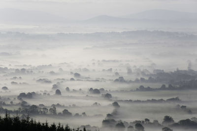 Scenic view of mist covered landscape