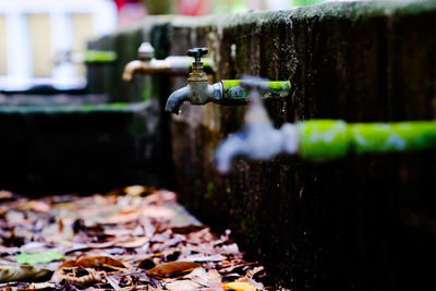 Close-up of water flowing from pipe