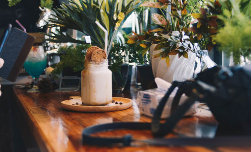 Close-up of potted plant on table