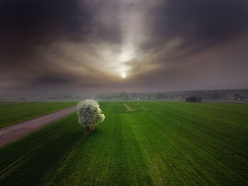 environment
