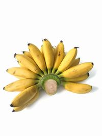 High angle view of fruit on white background