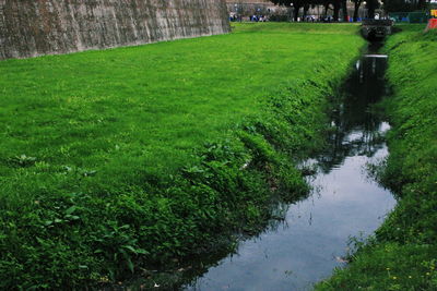 High angle view of canal amidst trees on field