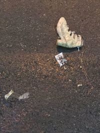 High angle view of shoes on ground