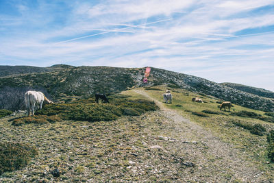 Scenic view of landscape against sky