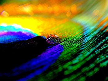 Close-up of multi colored water