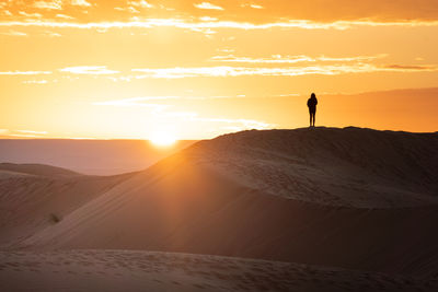 Rear view of man walking on sand at sunset