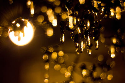 Close-up of illuminated light bulb