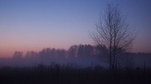 Silhouette bare trees against clear sky during sunset