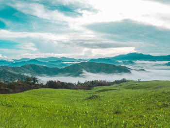 Scenic view of field against sky