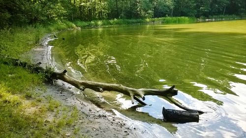 Scenic view of lake