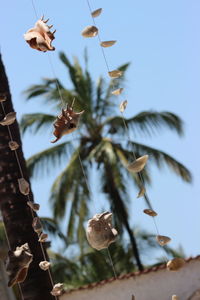 Low angle view of flowering plants against sky