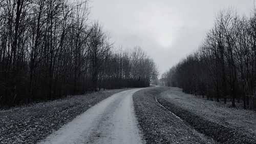 Empty road along bare trees against sky