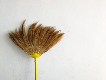 Close-up of broom against white wall