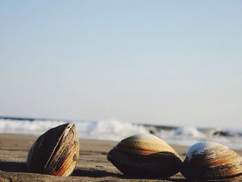 Close-up of pebbles on beach against sky