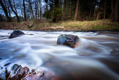 Stream flowing through rocks in forest