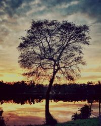 Silhouette tree by lake against sky during sunset