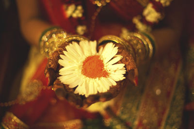 Close-up of hand holding flower