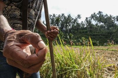 Midsection of man holding plant in field