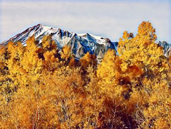 Scenic view of snow covered mountain against sky