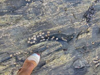 Low section of person standing on rock