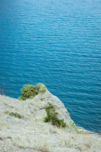 High angle view of rocks on beach