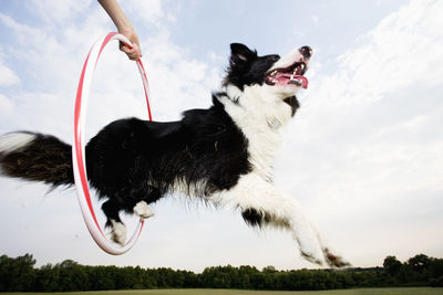 Woman with dog on field against sky