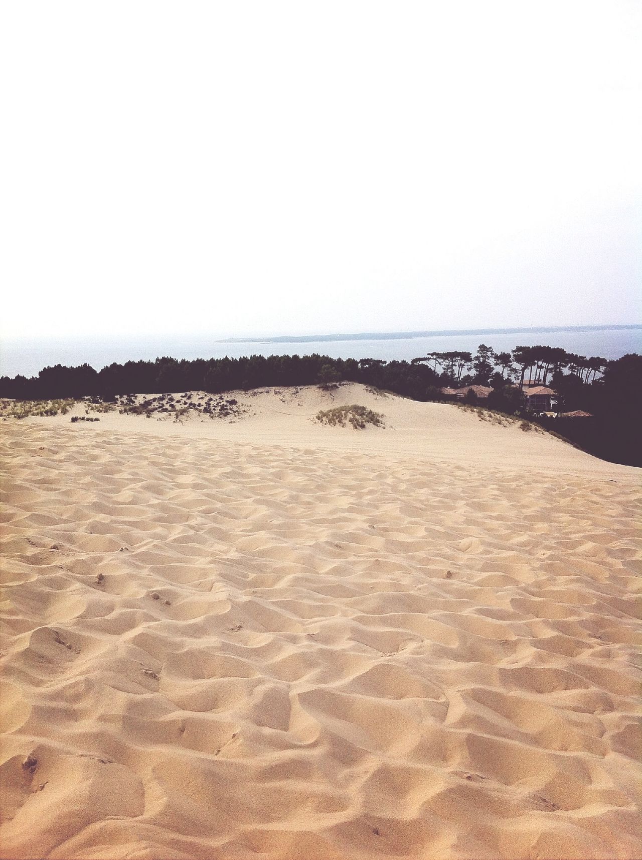 Dune du Pyla