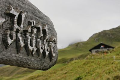 Close-up of a field with mountain in background