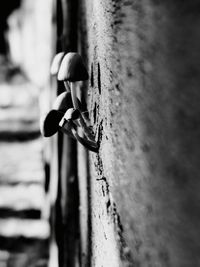 Close-up of person on wall