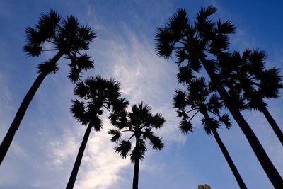 Low angle view of coconut palm trees against sky