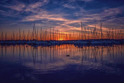 Sailboats in marina at sunset