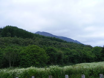 Scenic view of mountains