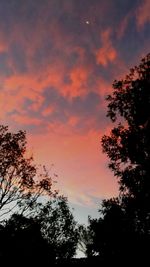 Low angle view of silhouette trees against dramatic sky