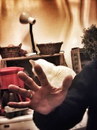 Close-up of man holding hand