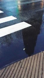 Reflection of trees in water