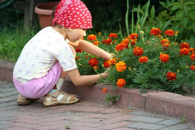 Girl plucking marigolds at yard