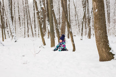 Scenic view of snow covered land and trees in forest