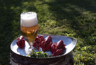 High angle view of beer glass on table