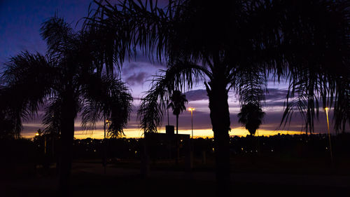 Silhouette palm trees against sky at sunset